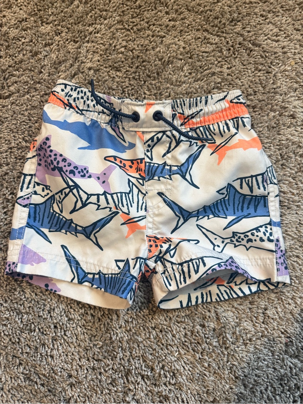 Tea Collection Swim Trunks EUC